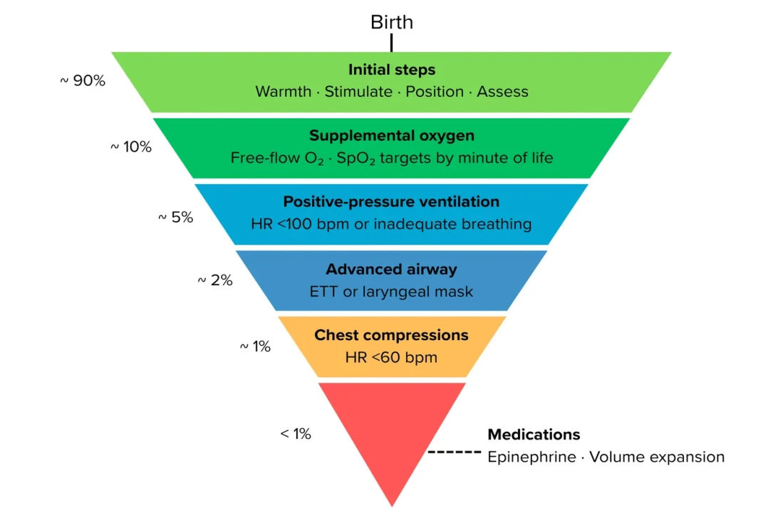 NR Inverted Pyramid