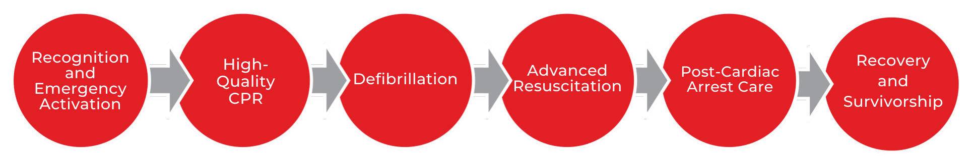 bls-chainofsurvival-adult BLS Adult Chain of Survival