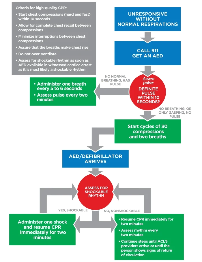 Adult Basic Life Support (BLS) Algorithm | AMC