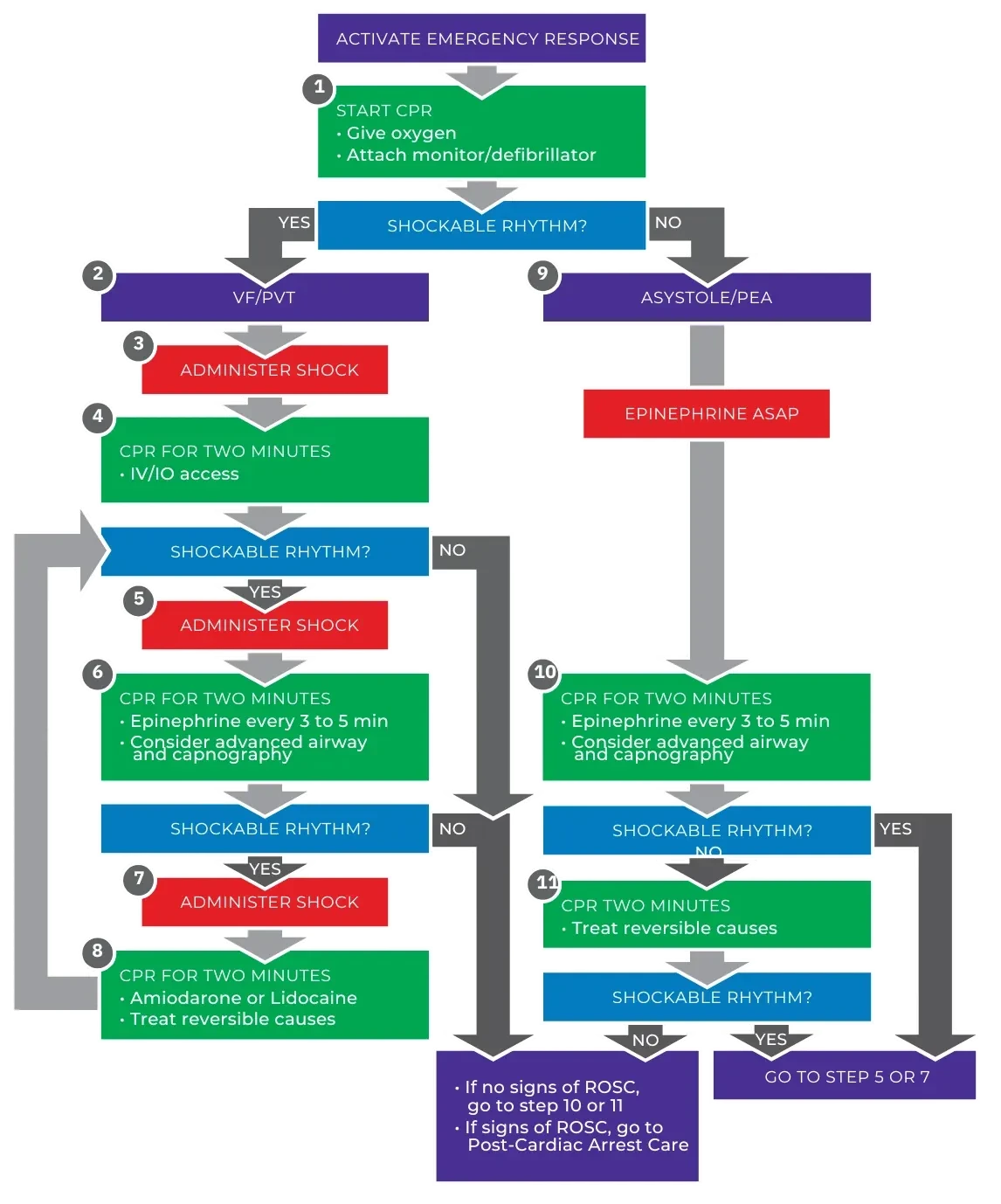 Image (Figure 27)