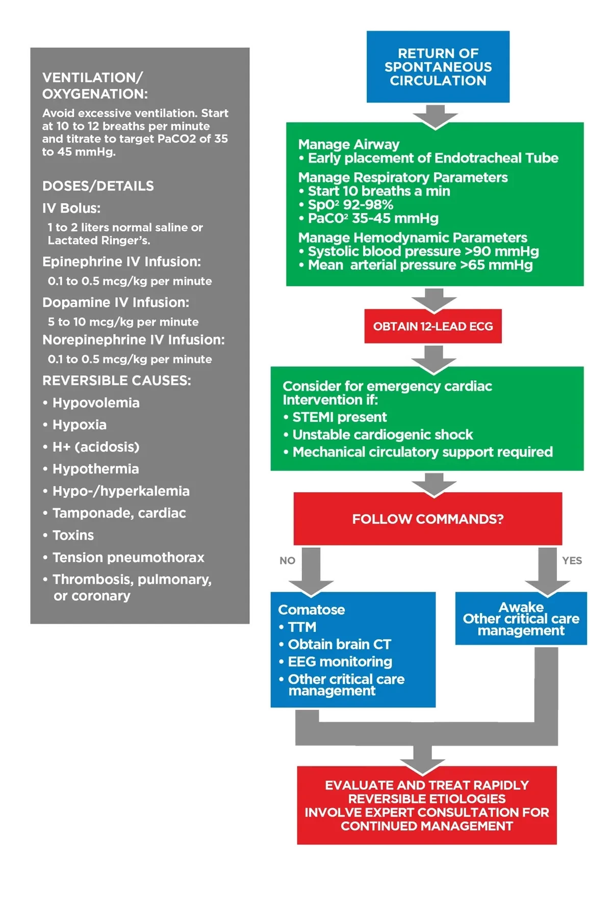 Image (Figure 29)