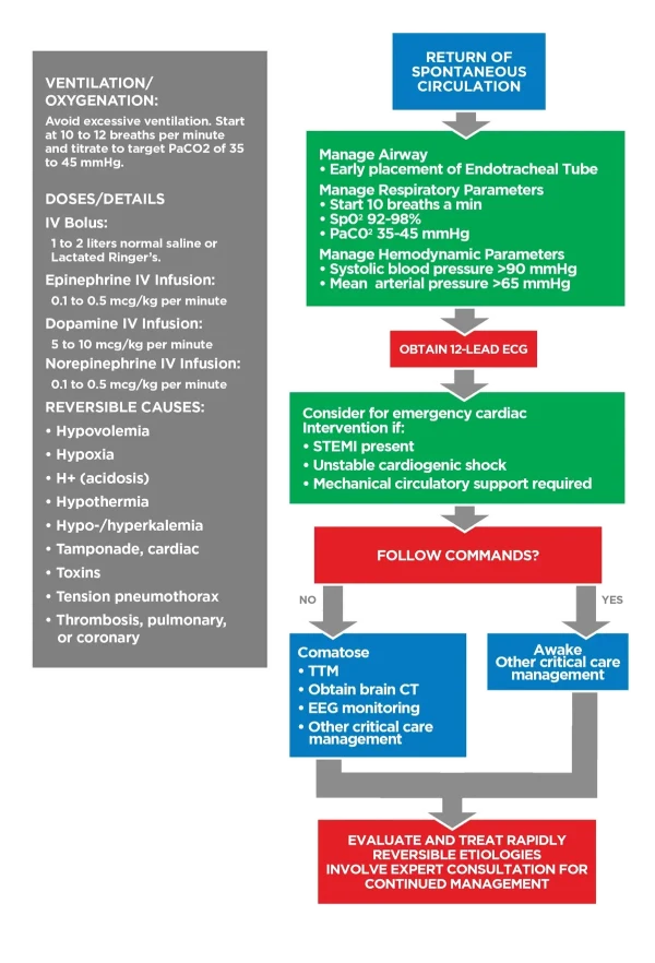Adult Immediate Post-Cardiac Arrest Care Algorithm