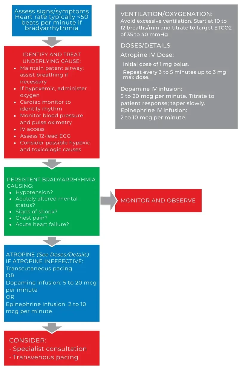 Image (Figure 34)