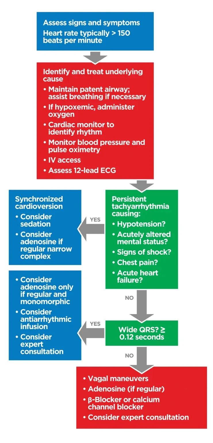 Image (Figure 38)