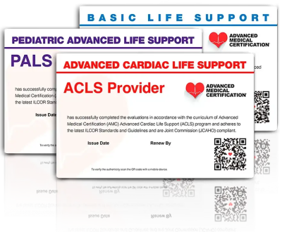 Right Column - Image