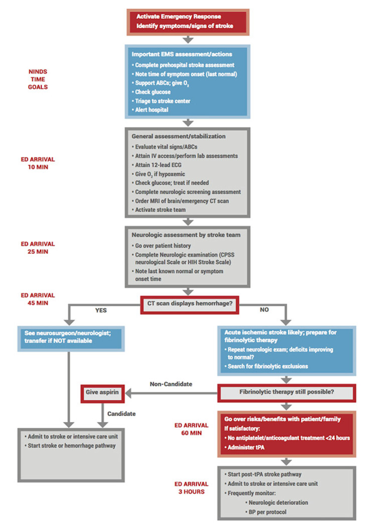 Flowchart detailing emergency stroke assessment and treatment process, including EMS actions, ED arrival steps, CT scan evaluation, and pathways for hemorrhagic or ischemic stroke.