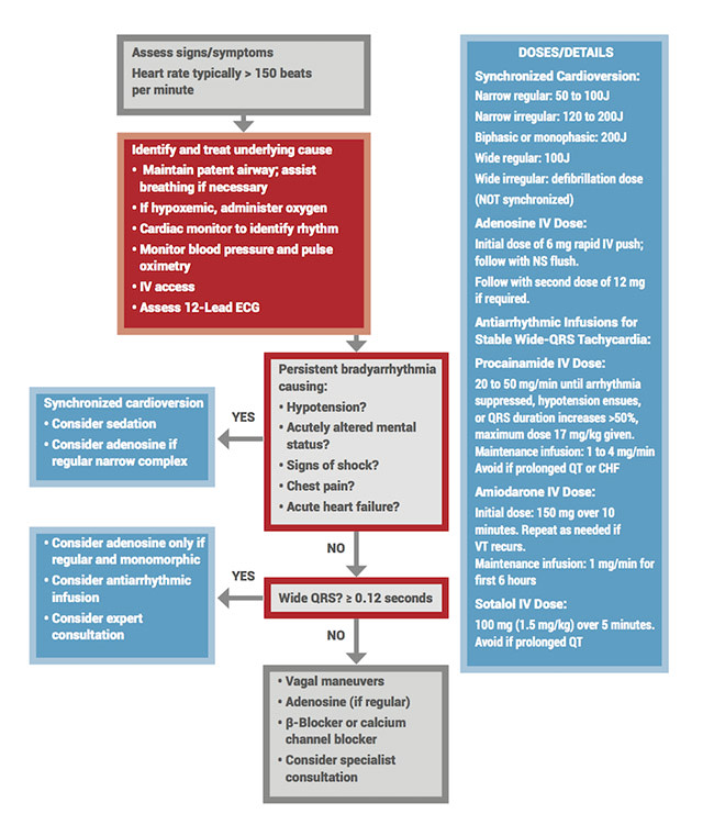 ACLS tachycardia algorithm flowchart displaying steps for assessing and treating tachycardia with pulse, including medication doses and synchronized cardioversion guidelines.
