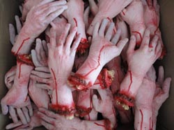 severed hands