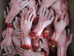 severed hands