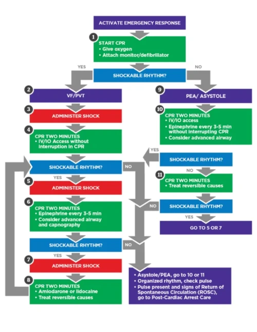 Flowchart outlining adult cardiac arrest algorithm, showing steps for shockable and non-shockable rhythms, CPR, medication, and advanced airway considerations.