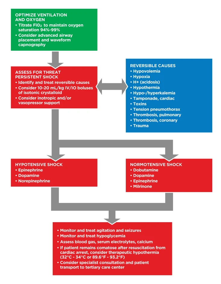 Flowchart for shock management including ventilation, assessment for persistent shock, reversible causes, hypotensive and normotensive shock treatments, and post-resuscitation care steps.