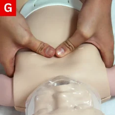 BLS Figure 11 G CPR using the two thumb-encircling hands method