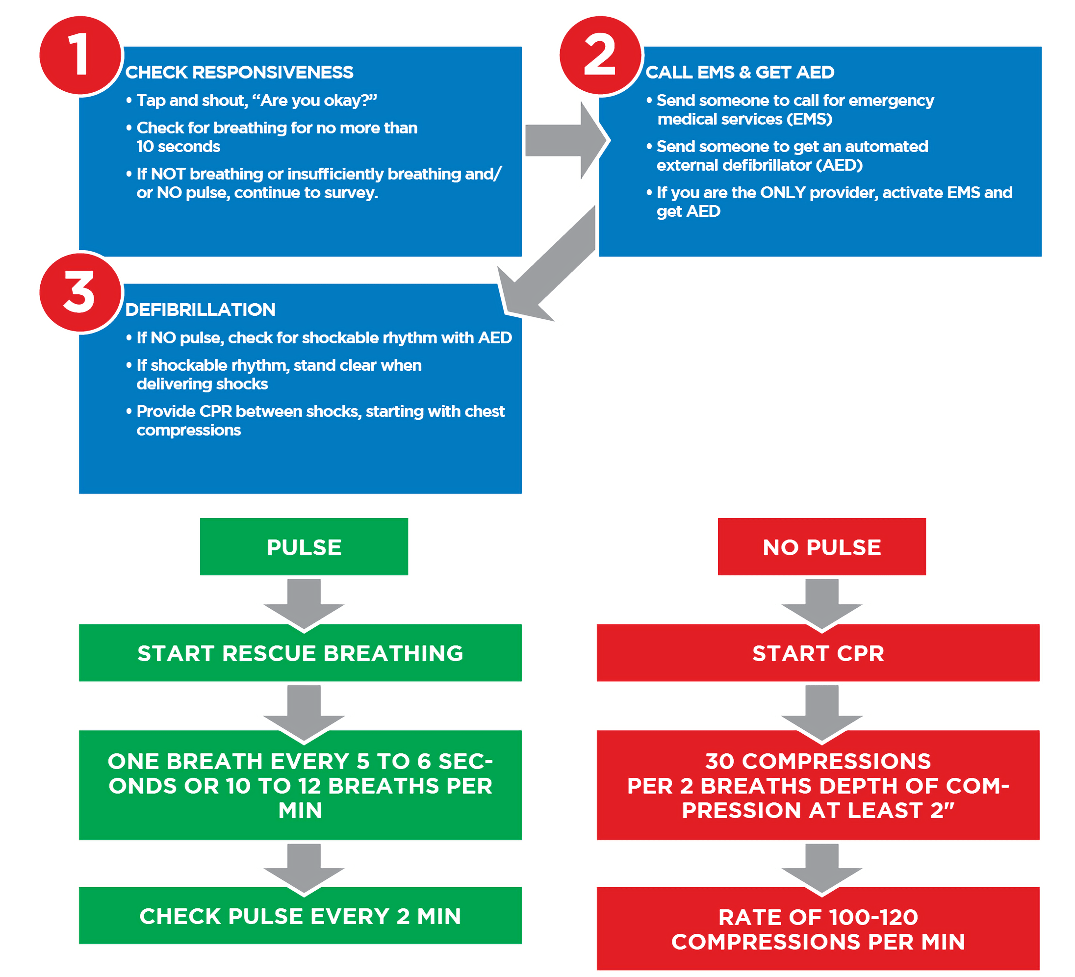 BLS Survey for Adults