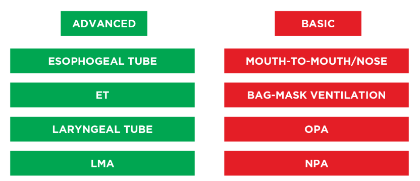 Type of Airways