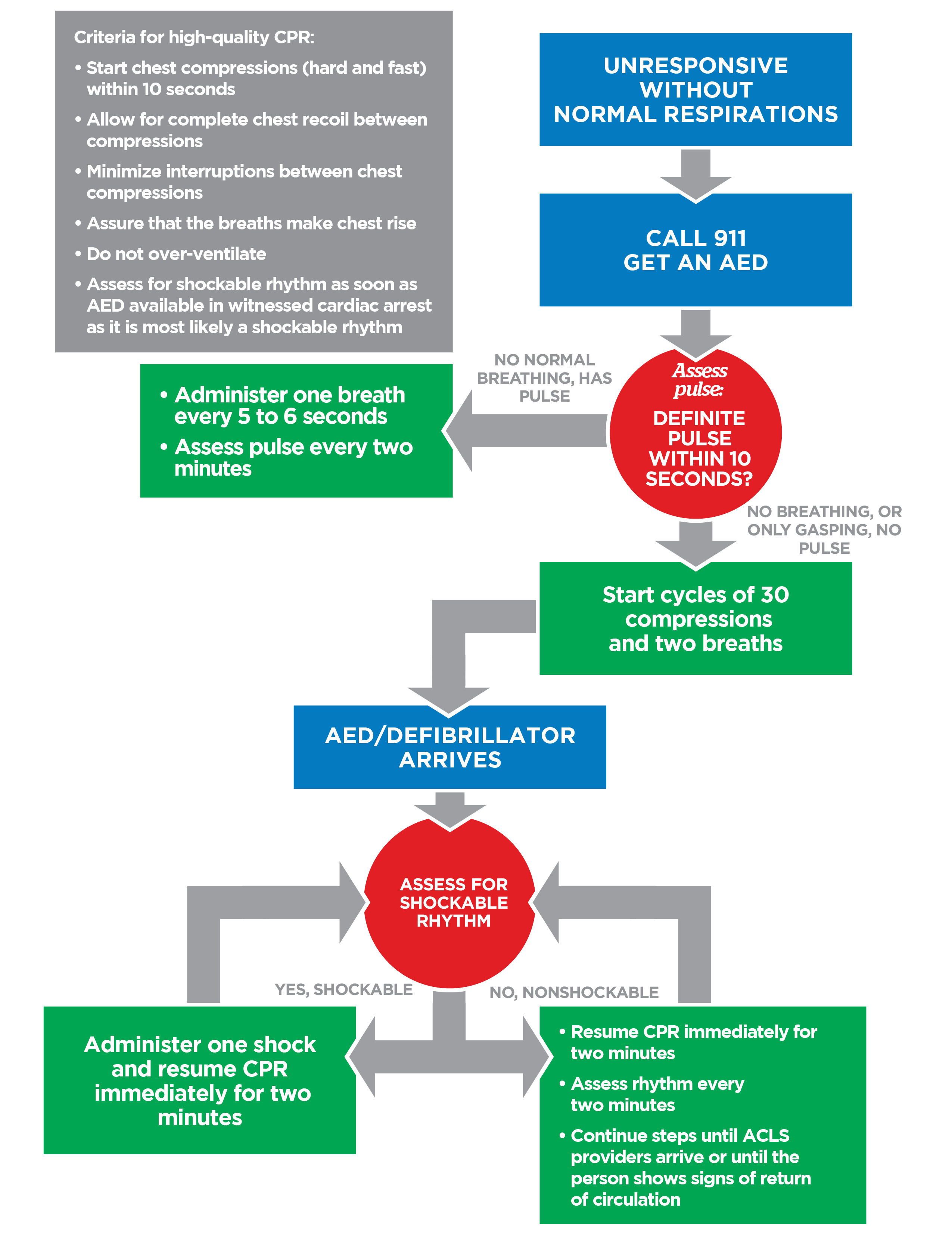 BLS figure 7 Adult BLS Algorithm Diagram