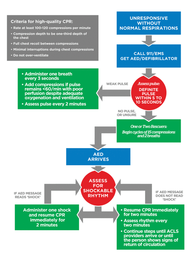 CPR flowchart for unresponsive individuals, detailing steps for pulse check, AED use, compression cycles, and high-quality CPR criteria in emergency situations.