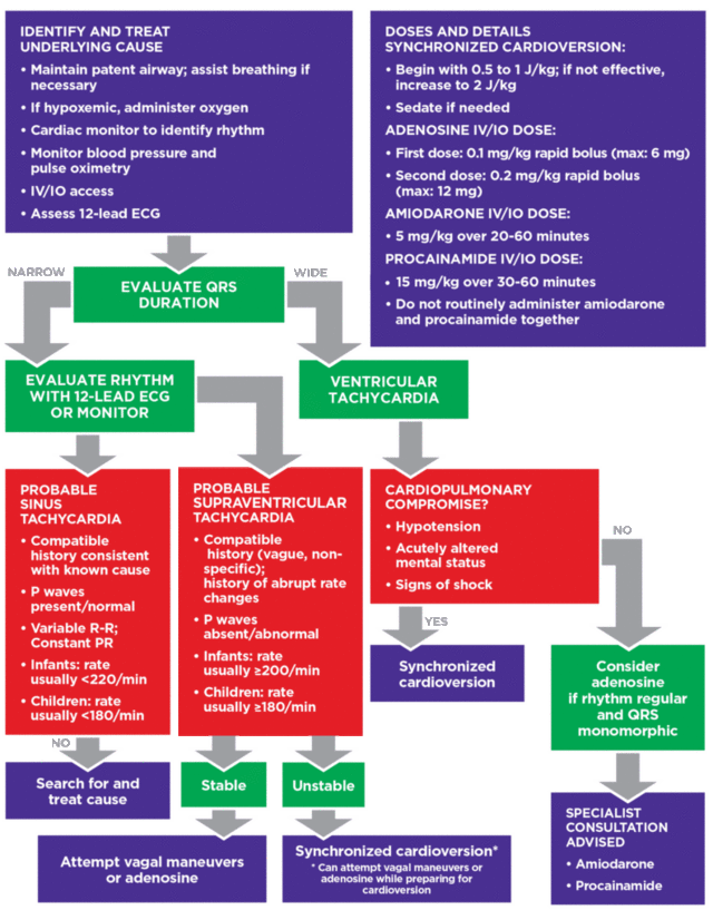 Pediatric tachycardia cardiac algorithm flowchart with steps for evaluating QRS duration, identifying rhythm, and treatment options based on clinical findings and stability.