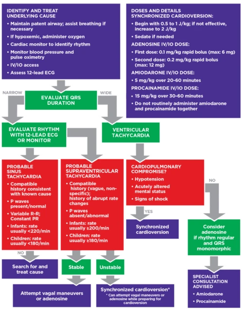 Pediatric tachycardia cardiac algorithm flowchart with steps for evaluating QRS duration, identifying rhythm, and treatment options based on clinical findings and stability.