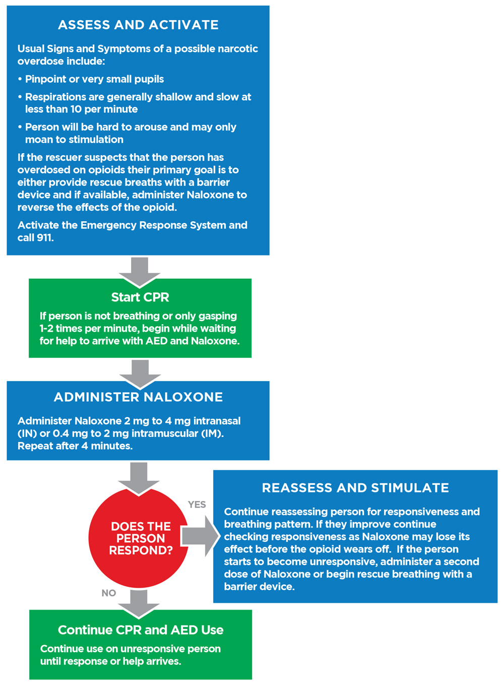 Opioid treatment algorithm