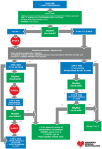 Pediatric Cardiac Arrest Covid-19 Algorithm