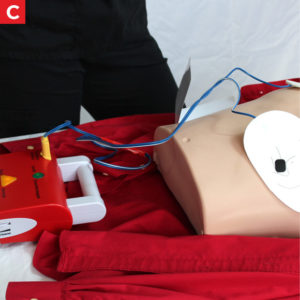 AED - Adults C