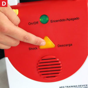 AED - Adults D