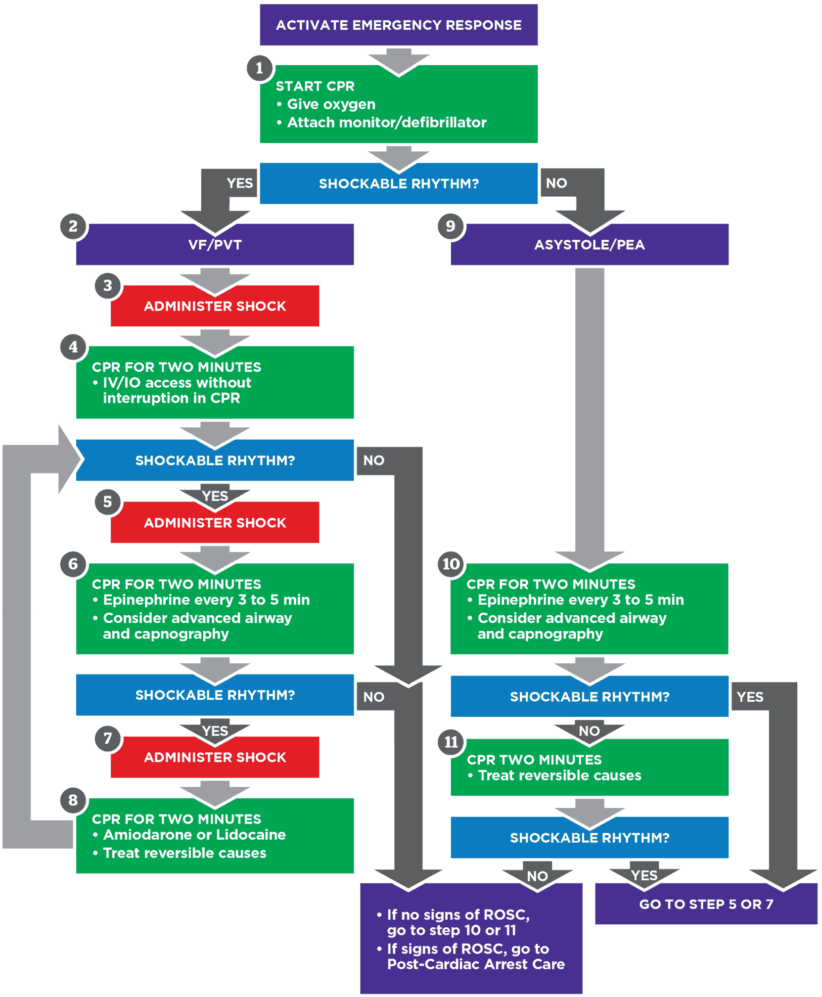 Top Printable Acls Algorithms | Russell Website