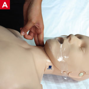 BLS Adult CPR - Pulse
