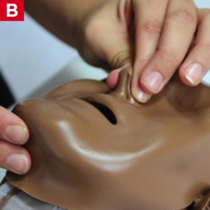BLS Mouth to Mouth Rescue Breathing