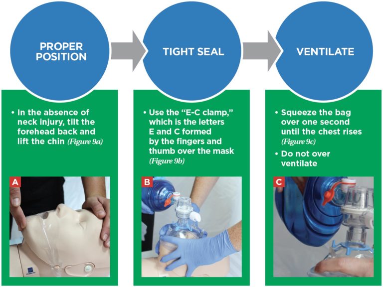 Bag Mask Ventilation Protocols - PALS Online Handbook