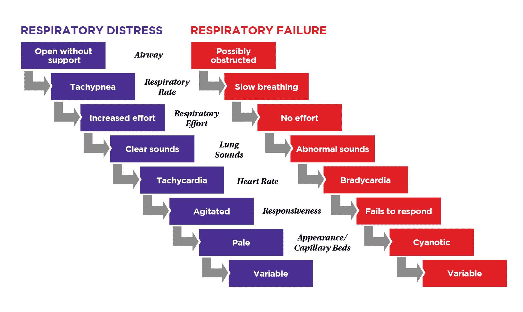 diagnose-respiratory-distress-and-respiratory-failure-pals-handbook