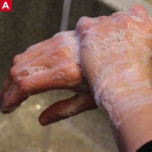 bbp-handwashing-1