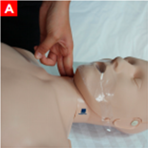 bls_figure4a