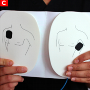 bls_figure8c