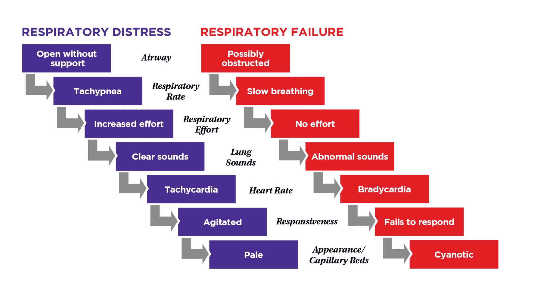 diagnose-respiratory-distress-and-respiratory-failure-pals-handbook