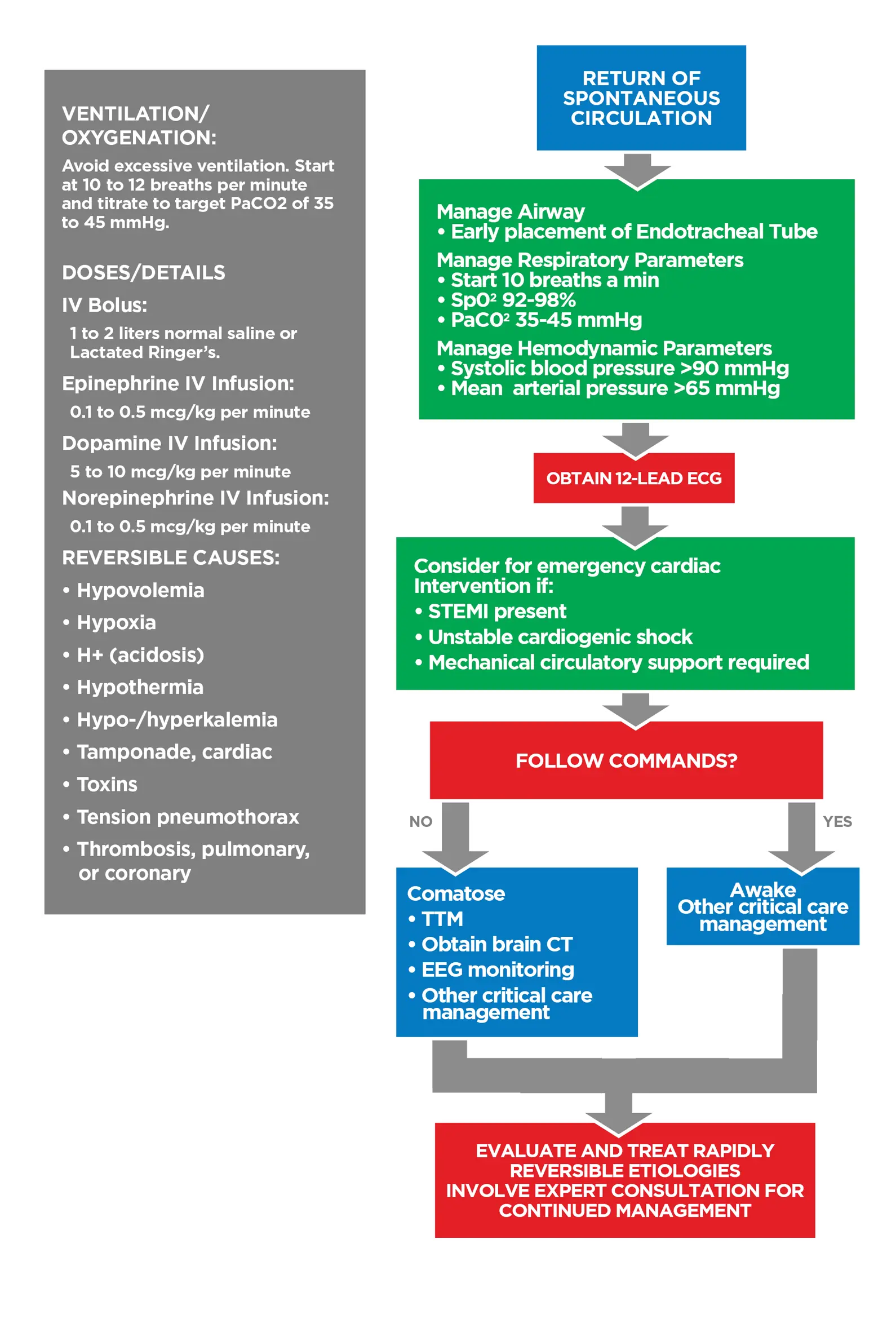 ACLS-Figure-29-8_15_25-Edited Figure 29