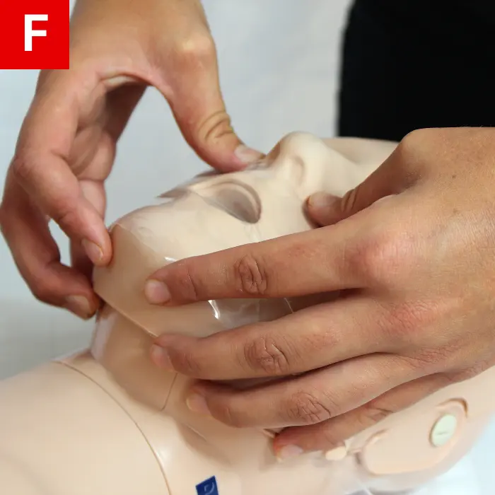 One Rescuer BLS for Adults - ACLS Online Handbook