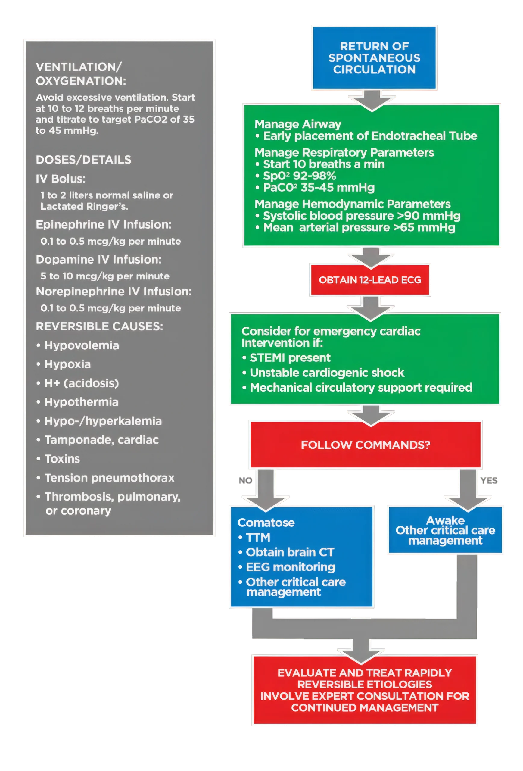 Adult-Immediate-Post-Cardiac-Arrest-Care-Algorithm-figure-29 Adult-Immediate-Post-Cardiac-Arrest-Care-Algorithm