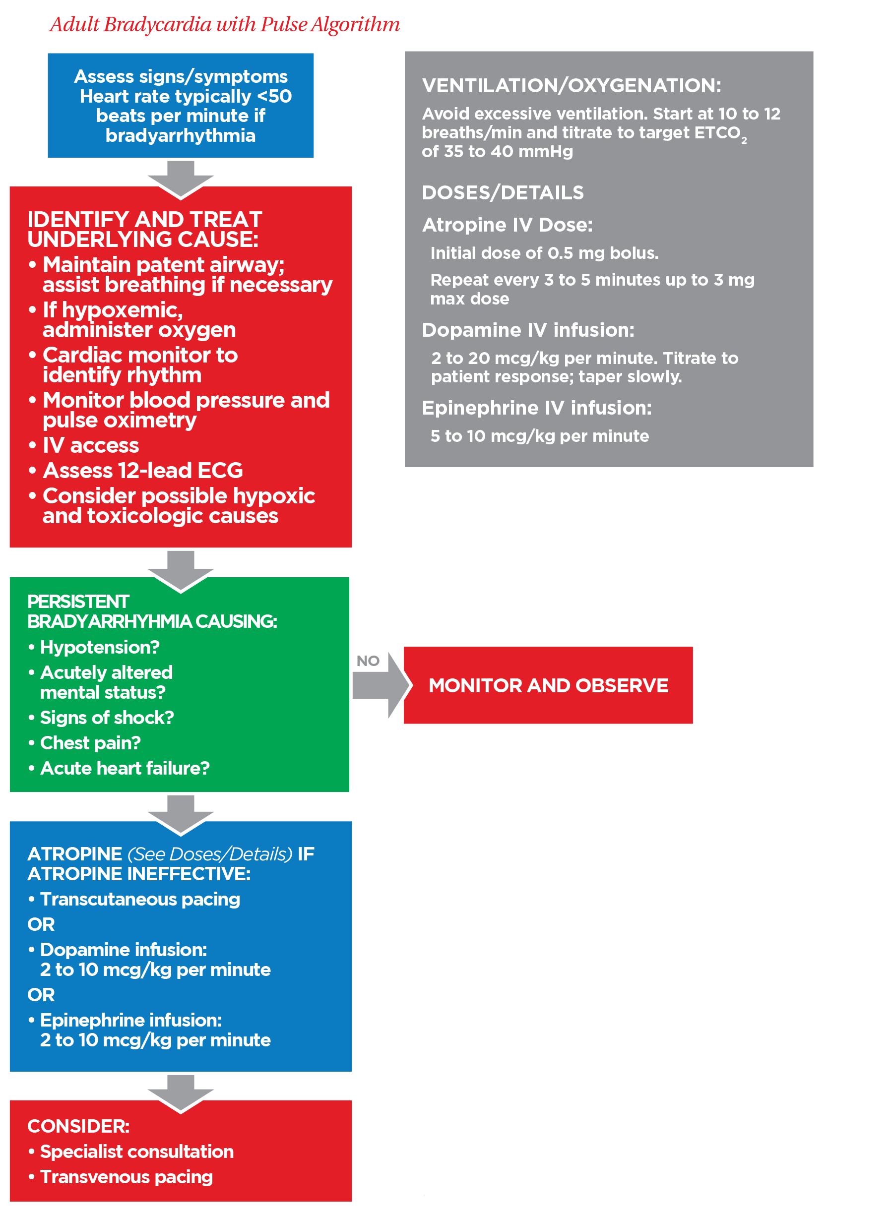 Adult Bradycardia With Pulse Management Algorithm - ACLS Handbook