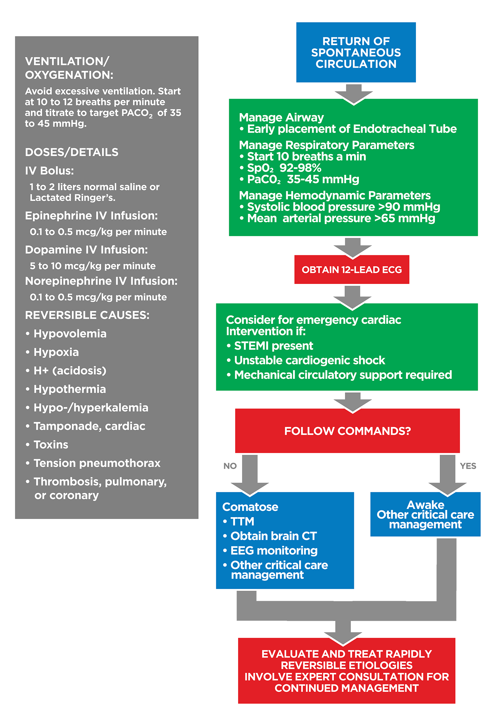 ACLS Cardiac Arrest Algorithm