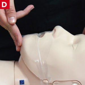 bls-cpr-adult-steps-e-300x300 BLS Adult CPR
