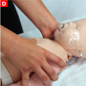 bls_figure11d