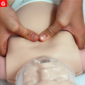 bls_figure11g