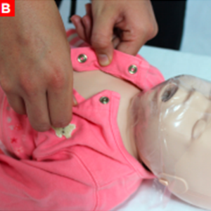 bls_figure12b