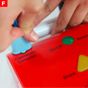 bls_figure12f