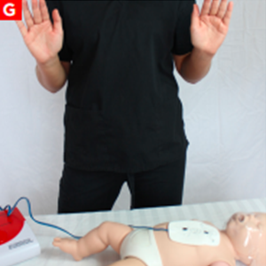 bls_figure12g