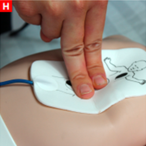 bls_figure12h
