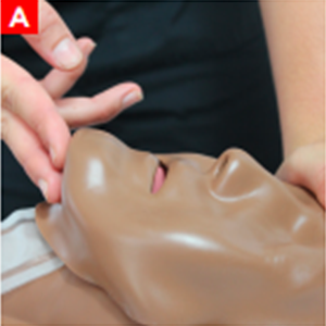 bls_figure13a