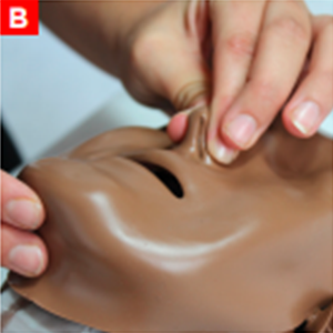 bls_figure13b