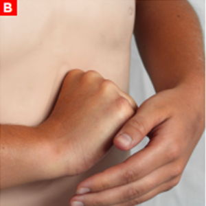 bls_figure16b